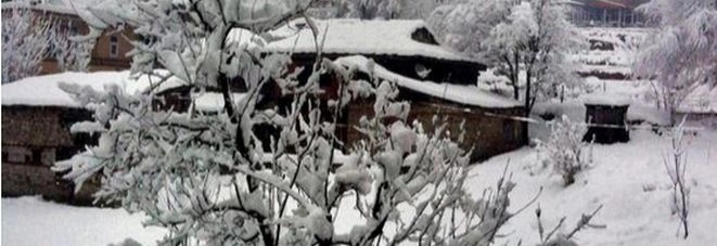 कश्मीर घाटी में फिर हुई बर्फबारी - Kashmir