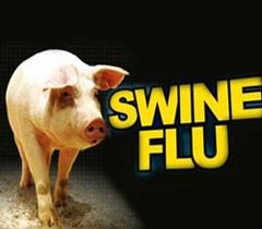 जानिए स्वाइन फ्लू और उसके लक्षण - swine flu
