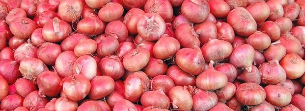 प्याज की कीमतों पर शीर्ष अधिकारी का बयान - Onions top officials onion supplies