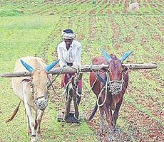 किसानों को बर्बाद करने की पूरी तैयारी - farmers