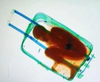 न्यूझीलंडमध्ये कुटुंबाने लिलावात विकत घेतलेल्या सूटकेस मध्ये दोन मुलांचे मृतदेह सापडले