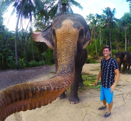 हाथी ने खींची सेल्फी, क्या आपने देखी है - elephant takes selfie after grabbing