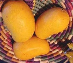 बालगीत : रसीले आम - poem on mango