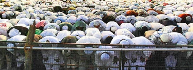 जानिए रमजान में इबादत का महत्व - Ramadan Ibadat