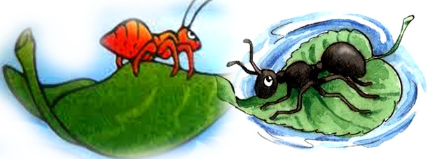 चुलबुली चंचल कविता : चींटी और चिड़िया - kids poem