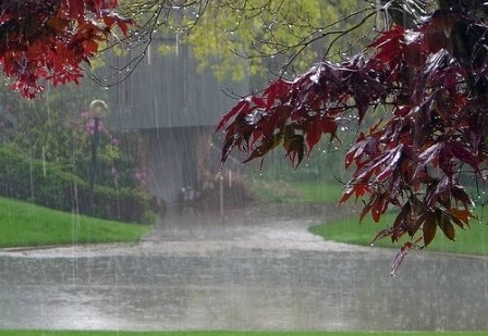 प्रकृति से खिलवाड़ भटका रही है मेघों को - Nature, rain