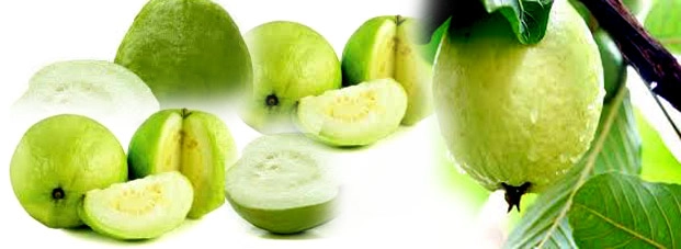 जानिए, अमरूद खाने के यह 7 फायदे - Guava Benefits