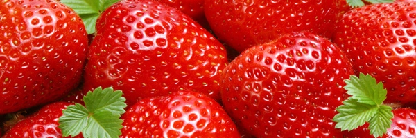 बहुपयोगी स्ट्रॉबेरी