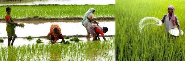 कृषि ऋणमाफी से जीडीपी पर दबा
