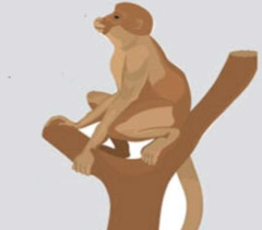 बाल कविता : सच्चा मित्र - Monkey And Bear Friends