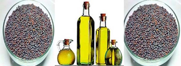 जानिए, सर्दी में सरसों के तेल के 10 फायदे - Benefit Of Mustard Oil