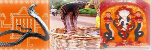 नाग पंचमी विशेष : जानिए कैसे करें नाग पूजन... - worship of snakes