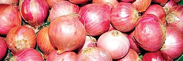 केंद्र सरकार मध्यप्रदेश से करेगी 2 लाख टन प्याज की खरीद - Onions