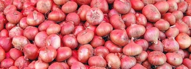 4 हजार किलो प्याज चुराने वाले गिरफ्तार - Onion