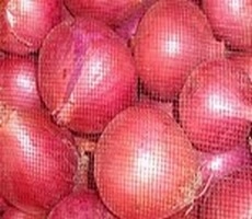 प्याज़ की कीमत में 400% का उछाल - onion