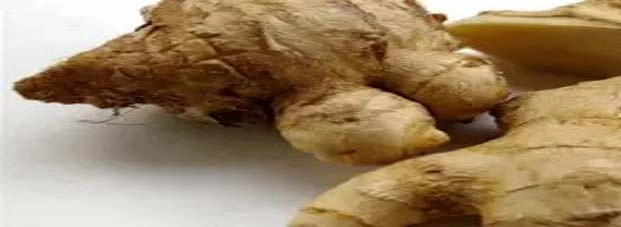 सोंठ यानि सूखी अदरक  के 11 फायदे - Dry Ginger/ Sonth