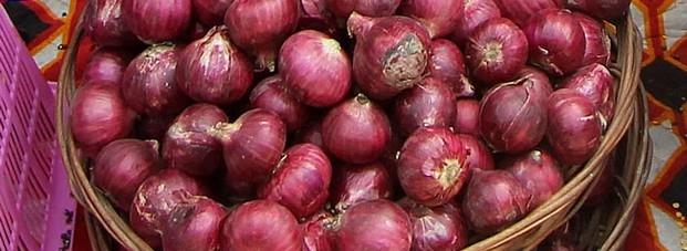 यहां 40 रुपए किलो में मिल रहे हैं प्याज... - Onion