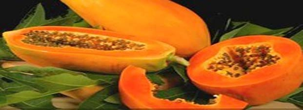 पपीता : इतने फायदे किसी फल में नहीं.... - papaya