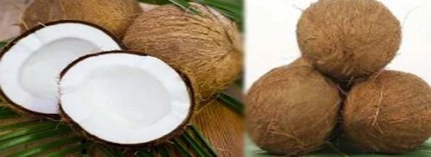 सेहत के लिए वरदान है श्रीफल के यह 10 गुण... जरूर पढ़ें - coconut