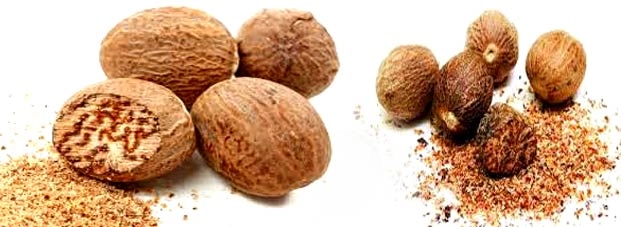 सेहत के लिए फलदायक है जायफल - nutmeg