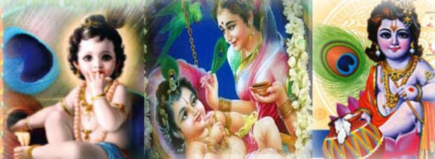 डोल ग्यारस : कृष्ण के जलवा पूजन का दिन - Jalwa Pujan & Krishna janmotsav