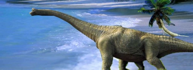 धरती से डायनासोर का सफाया करने वाले क्षुद्रग्रह के टक्कर वाले स्थल के पास जीवन तेजी से लौटा - Dinosaurs
