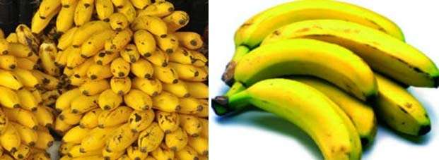 भविष्य में नहीं रहेंगे केले - banana