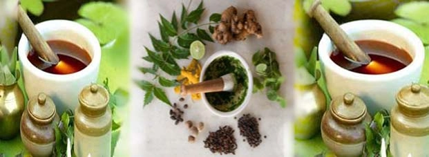 10 Ayurvedic Herbal | 10 आयुर्वेदिक जड़ी-बूटियां : दूर करें हर समस्या