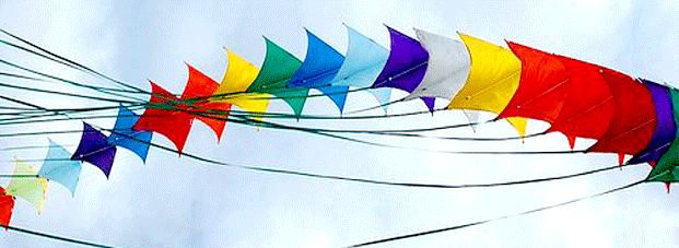 गुजरात में अंतरराष्ट्रीय पतंग उत्सव शुरू