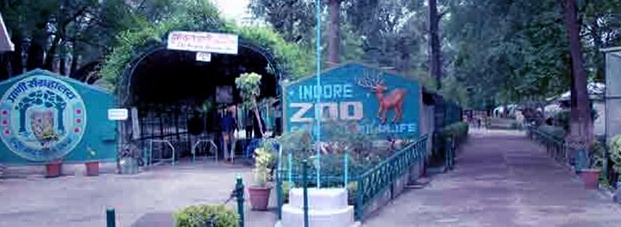 इंदौर के चिड़ियाघर में रैबीज फैला, 6 भेड़ियों की मौत - Rabies kills 6 wolves in Indore zoo