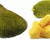 Health Benefits of Jackfruit: फणस (जॅकफ्रुट )खाण्याचे आरोग्यदायी फायदे जाणून घ्या