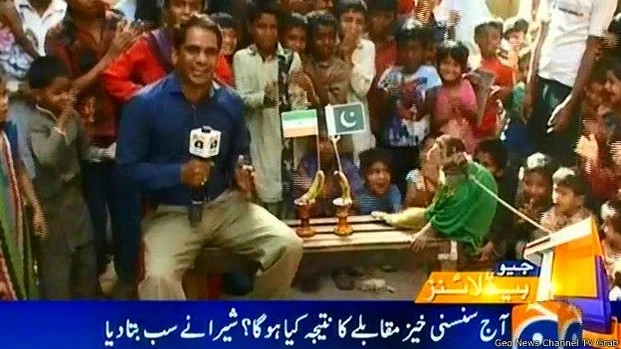 अब बंदर जिताएगा पाकिस्तान को मैच? - pakistan channels india pakistan match