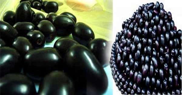 1459766968 6136 काले जामुन के 7 शानदार फायदे