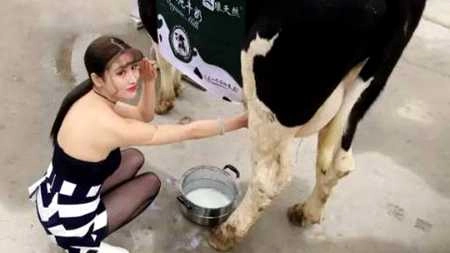 सड़कों पर दूध निकालने वाली 'हॉट मिल्क सिस्टर'