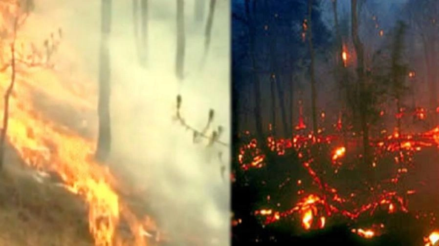उत्तराखंड की आग से सबक लेंगे हम - Uttarakhand, forest fire, Uttarakhand government
