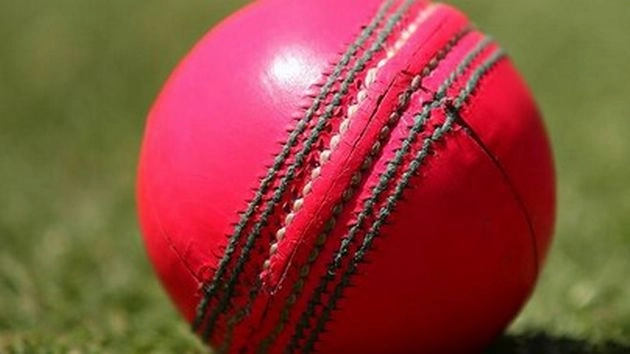 बल्लेबाजों पर भारी पड़ी गुलाबी गेंद, फ्लडलाइट ने किया परेशान - Cricket News, Duleep Trophy, pink ball, floodlight,