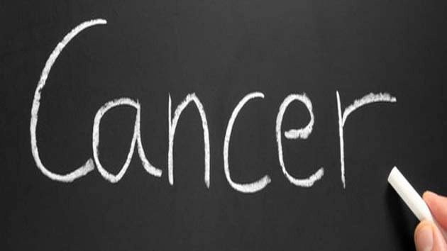 मिली कैंसर को दूर भगाने वाली जड़ी-बूटी - Cancer, fatal disease, ward off cancer drug