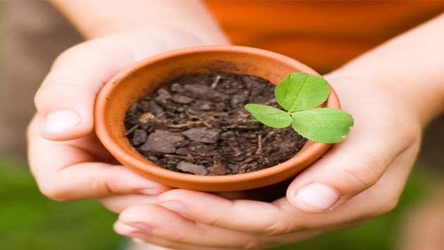 बागवानी के 5 स्वास्थ्य लाभ, जानते हैं आप... ? - Health Benefits Of Gardening