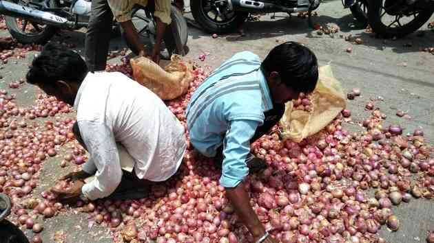 प्याज ने रुलाया! किसानों ने सड़क पर फेंके प्याज... - Onion Indore farmer