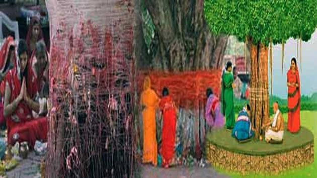 वृक्ष की पूजा और परिक्रमा क्यों करते हैं? | tree in hinduism