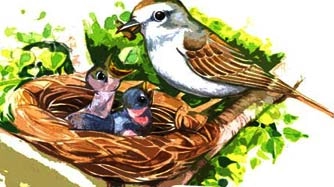 पर्यावरण बचाने की प्रेरणा देती एक कविता : चि‍ड़िया की पुकार