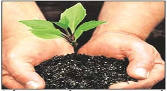 हिन्दी कविता : अपना पर्यावरण बचाएं - poem on tree plantation