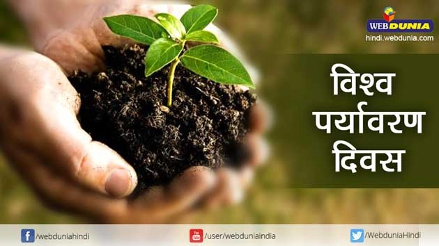 ऐसे बिगाड़ा हमने पर्यावरण को... - Hindi Blog On Environment