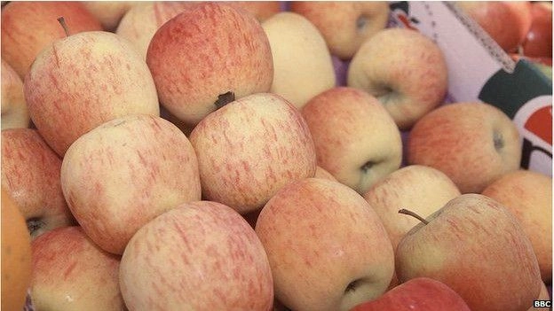 सेब सबसे पहले धरती पर कहां उगे? - kazakhstan treasure apples