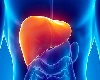 Liver Damage Signs यकृत खराब झाल्यामुळे ही सुरुवातीची लक्षणे शरीरात दिसतात, चुकूनही दुर्लक्ष करू नका