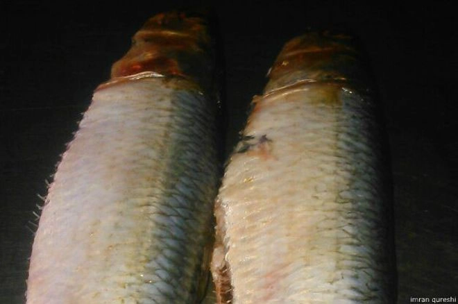 अब लीजिए 'मोदी मछली' का मजा - narendra modi fish