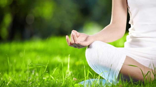 जानिए 10 योग-प्राणायाम, जो दूर करते हैं हर रोग - Yoga Pranayaa