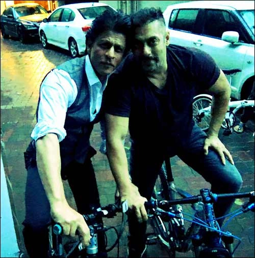 सलमान-शाहरुख : साइकल पर साथ... माइकल लाल, साइकल लाल - Shah Rukh Khan, Salman Khan, cycle