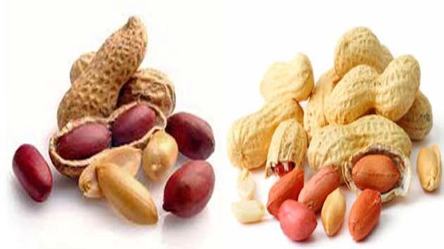 मूंगफली दाने से मिलता है प्रोटीन लेकिन ज्यादा सेवन से होंगे 5 नुकसान - 5 Drawbacks o peanuts