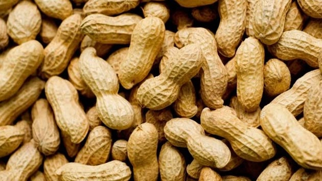 हर तरफ मूंगफली की बहार, जानिए 10 फायदे - 10 benefits of peanuts